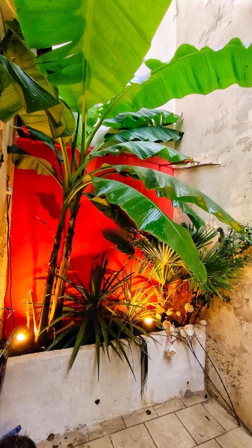 Votre Escale Jungle Sauna & Spa Νιόρ Εξωτερικό φωτογραφία